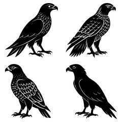 Four black eagles in different poses standing on the ground with detailed feather patterns shown clearly