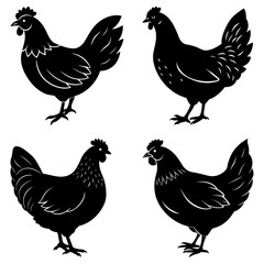 Four black silhouette chickens standing on a white background in various poses and perspectives design
