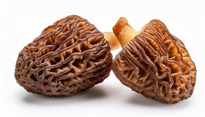 Fototapeta premium tow dried morel mushrooms isolated on white background