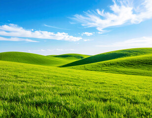 Obraz premium Wide Grass Field and Blue Sky – Simple Natural Background