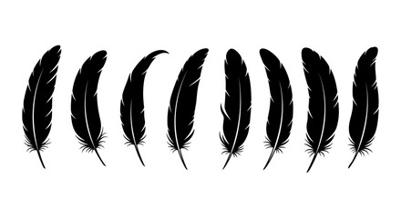Set of Bird Feather. Feathers vector set in a flat style. Pen icon. Black quill feather silhouette. Plumelet collection isolated on white background. EPS 10