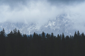 Misty forest and mountain slope covered with pine trees on a foggy day, peaceful nature scenery in the Alps.