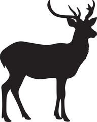 Sika Deer in silhouette pure white background.