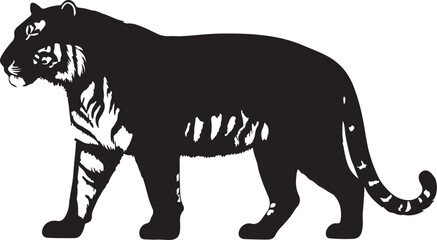 Obraz premium Siberian Tiger in silhouette purw white background.