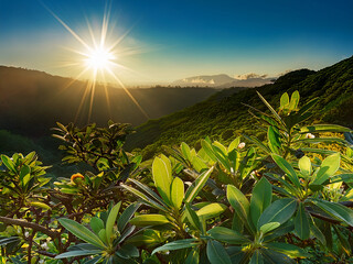 Radiant sunlight in misty forest
Nature backlight through leaves, Early sun flare in green woods, Light burst across tropical foliage

