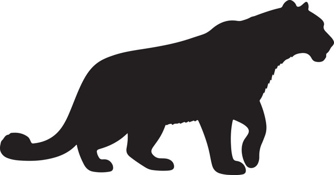  Snow leopard in silhouette purw white background.