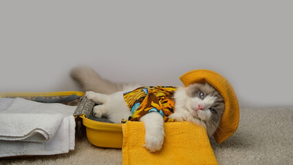 Cute and charismatic white cat and a yellow travel suitcase. © Oksava