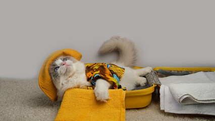 Cute and charismatic white cat and a yellow travel suitcase. © Oksava