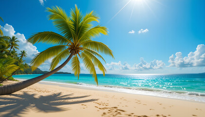 Fototapeta premium Tropical Beach with Palm Tree and Clear Blue Water – Sunny Summer Paradise