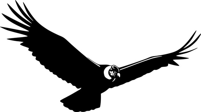 flying condor line art silhouette vector illustration
