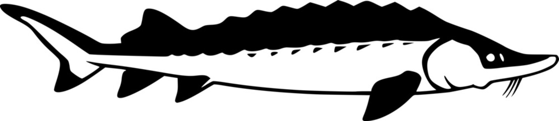 Fototapeta premium lake sturgeon line art silhouette vector illustration 