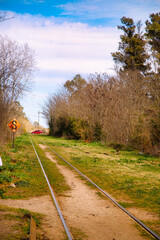 railroad in autumn