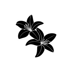 creative Lilies Icon vector silhouette illustration isolated on white background