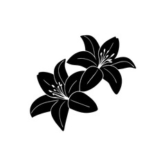 creative Lilies Icon vector silhouette illustration isolated on white background