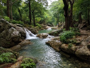 Serene Forest Stream Flowing Over Rocks Surrounded by Lush Green Trees and Natural Wilderness, Tranquil Environment for Nature Lovers and Outdoor Enthusiasts