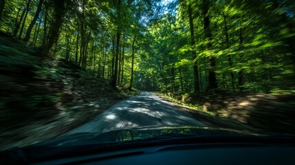Obraz premium Peaceful road trip on a shaded forest path with natural light.