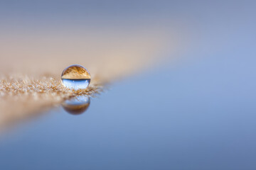 closeup of dew drop resting on fuzzy surface highlighting delicate texture and soft light