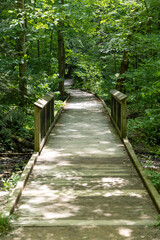 wooden bridge in the forest along city urban walking trail 
