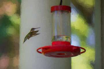 A hummingbird hovers near a bright red feeder against a softly blurred background. The sunlight...
