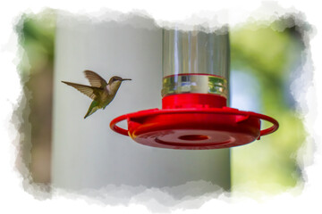 A hummingbird hovers near a red bird feeder, its wings a blur of motion. Soft, blurred background...