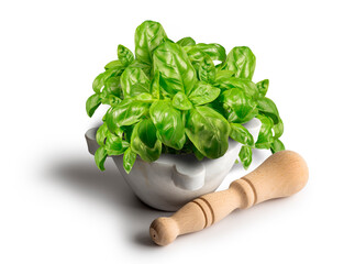Mortar and pestle for Genoese pesto with basil