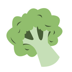 Flat Vector Broccoli – Healthy Green Vegetable Illustration
