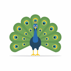 peafowl flat isolated 