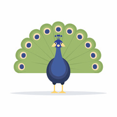 peafowl flat isolated 