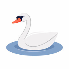 Fototapeta premium swan on the water