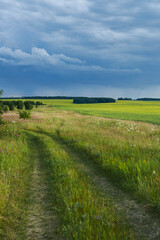 Obraz premium Wide open countryside field under dark cloudy summer sky