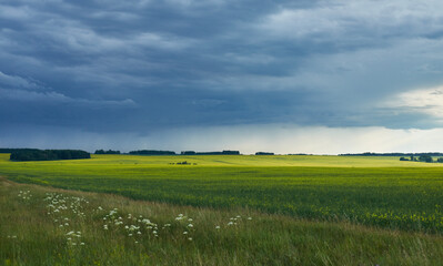 Wide open countryside field under dark cloudy summer sky