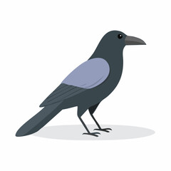 Obraz premium crow on a white background