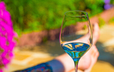 Mediterranean garden in bright sunlight in summer, Almere, Flevoland, The Netherlands, June 29, 2025