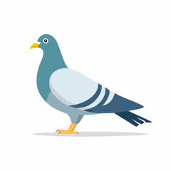 dove on a white background