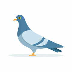 dove on a white background