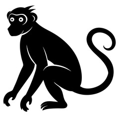 Monkey Silhouette on white background