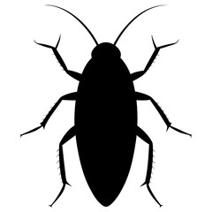 Black insect silhouette on white background