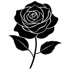 Rose Silhouette on white background