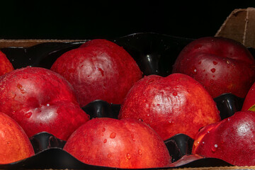 Nectarines in Plastic Bowl. Juicy red nectarines lie fresh in a black plastic container. Water...