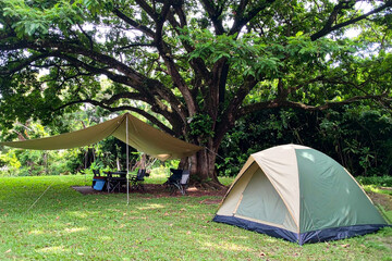 Tranquil Forest Camping Escape