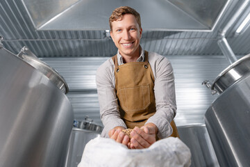 Caucasian young male brewer in brewery inspecting barley grain ingredients for craft beer