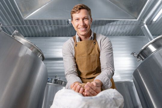 Caucasian young male brewer in brewery inspecting barley grain ingredients for craft beer