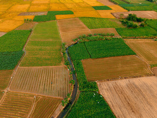 Aerial view of lush agricultural fields in vietnam's countryside