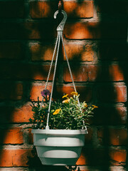 Sunlit Hanging Basket with Vibrant Flowers Against a Rustic Brick Wall