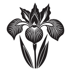 Stylized black iris flower isolated on white background
