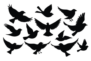 Set of black bird silhouettes vector.eps