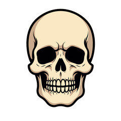 Fototapeta premium Skull illustration with outlined details, Halloween decoration icon