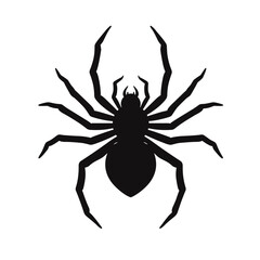 Obraz premium Black spider silhouette on white background, Halloween decoration icon