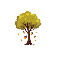 Autumn tree with falling acorns and leaves, seasonal nature illustration