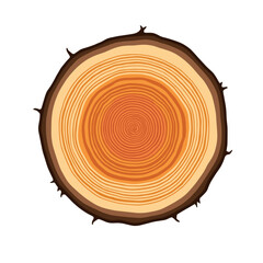 Tree trunk cross-section illustration – natural growth pattern, copyspace